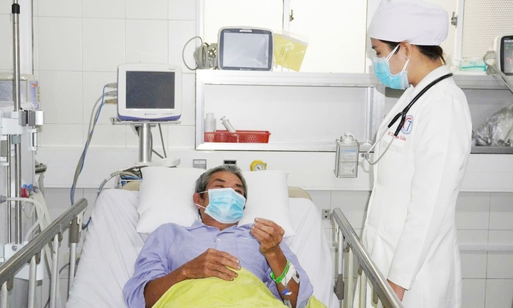 Ăn cá nóc tự bắt trong vườn, 3 người tại Cần Thơ nhập viện cấp cứu