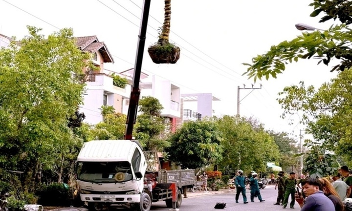 Tin tức thời sự 24h: Cẩu cây cảnh chạm vào đường dây điện, tài xế tử vong