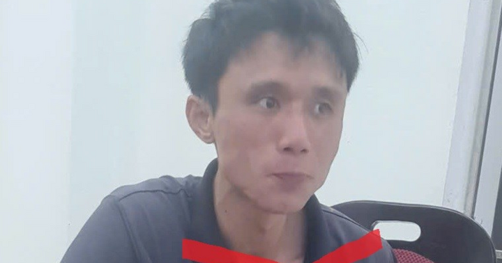 Vụ cụ bà bị sát hại, chôn thi thể dưới gốc xoài ở Hải Phòng: Hé lộ nguyên nhân