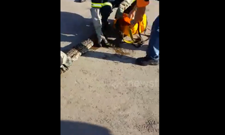 Đi ngang đường, nhóm thanh niên