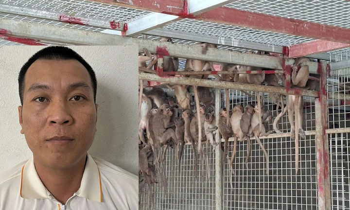 Bắt đối tượng cầm đầu đường mua bán hồng hoàng, rái cá