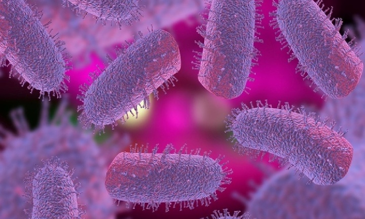 Đồng Tháp: Chủ quán thịt chó tử vong do bệnh dại