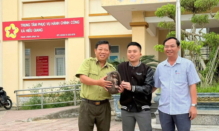 Đi tập thể dục buổi sáng, bất ngờ phát hiện con vật “lạ” mõm nhọn, đuôi dài nằm giữa đường