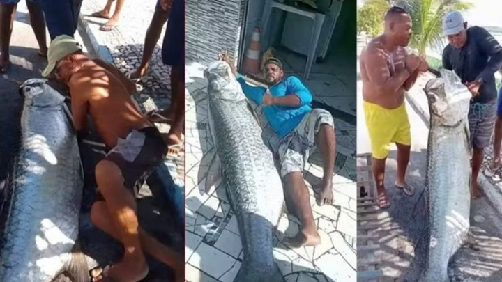 Bắt được “quái vật sông nước” dài gần 2m, nặng 120kg, ngư dân vỡ òa