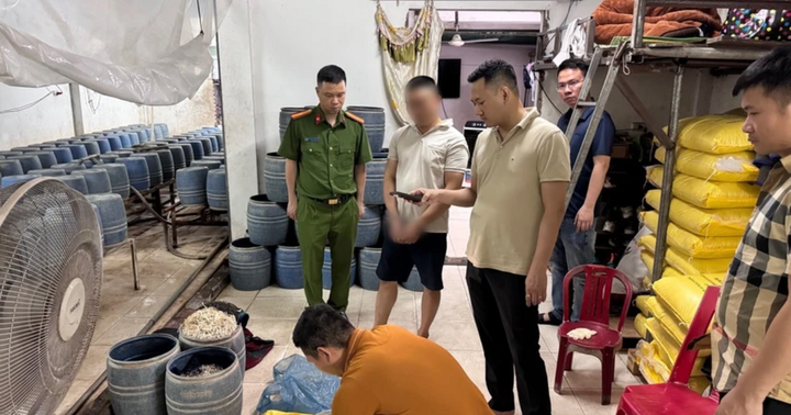 Khởi tố chủ cơ sở ở Quảng Ninh dùng chất cấm kích thích giá đỗ