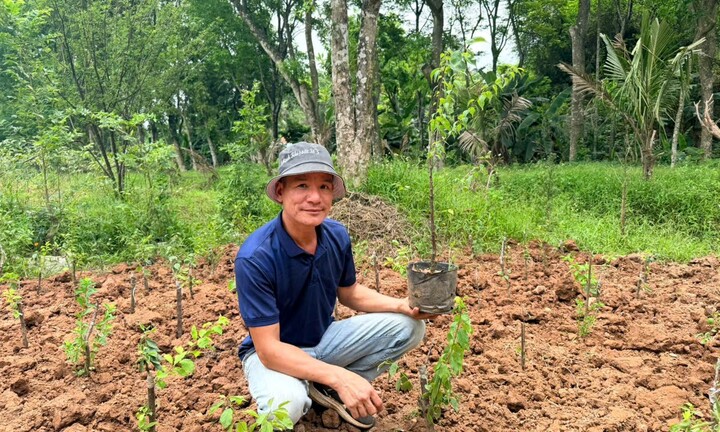 Chân dung chủ doanh nghiệp “ươm xanh” đất Hương Sơn và hành trình vươn lên sau vấp ngã