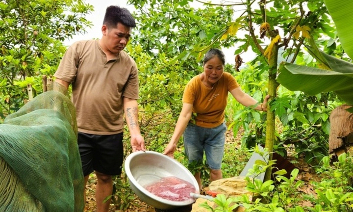 Vụ nước giếng khoan đổi màu tím ở Thanh Hóa: Kết quả phân tích chất lượng nước