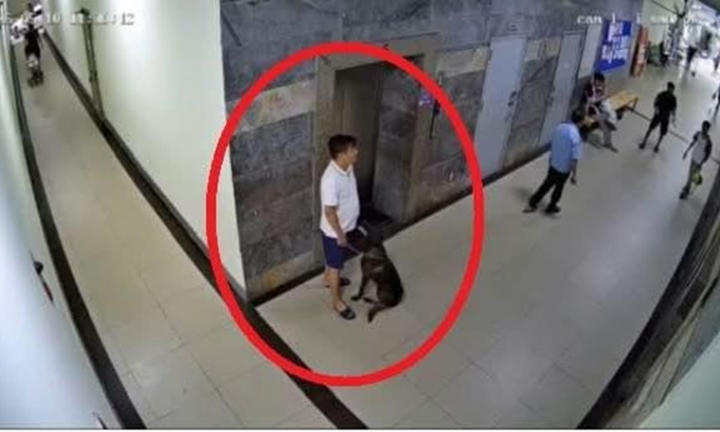 Vụ clip thành viên ban quản trị chung cư bị hành hung, nghi do nhắc đeo rọ mõm cho chó: Công an vào cuộc xác minh