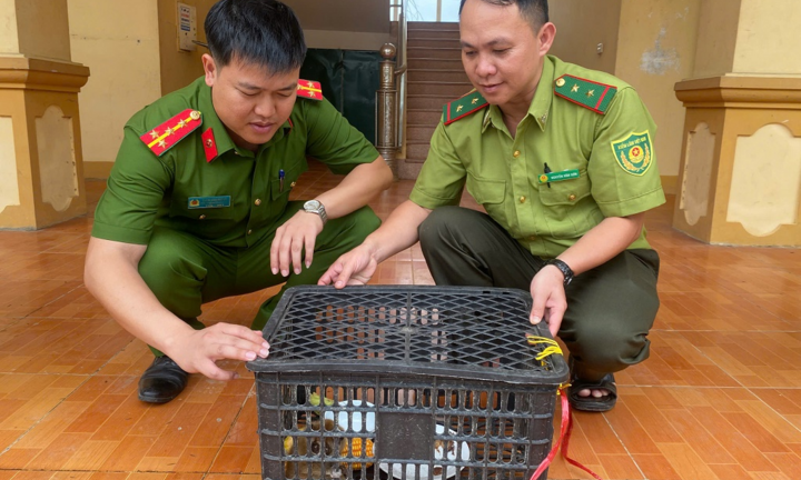 Tin thời sự 24h: Phát hiện con vật quý hiếm 