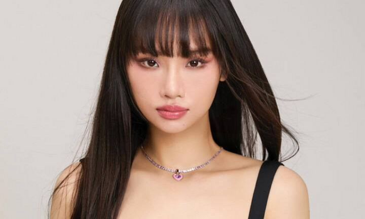 Miu Lê bị khởi tố, bắt tạm giam: Công ty quản lý khẳng định 