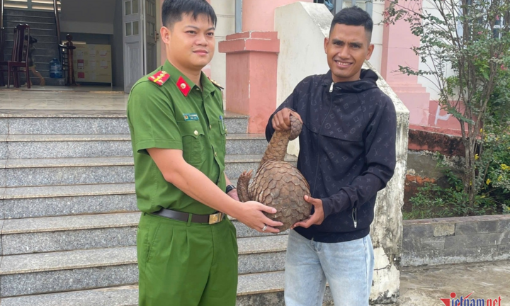 Bắt được tê tê Java 