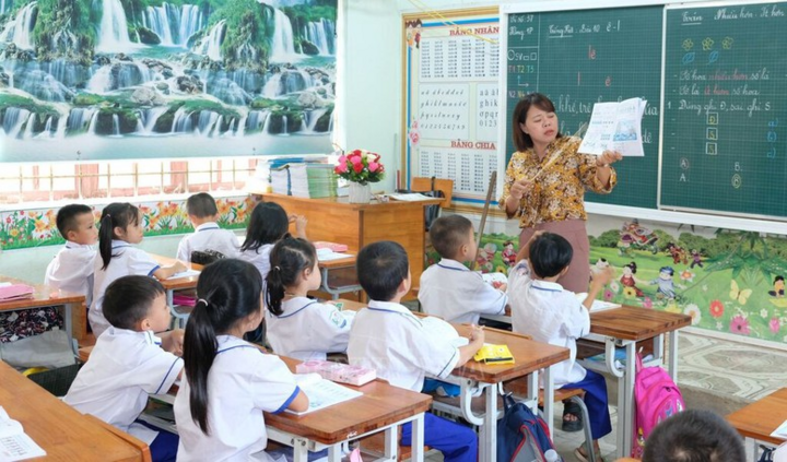 Chính phủ đã 