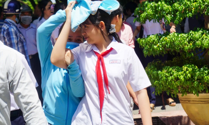 5 nguyên tắc 