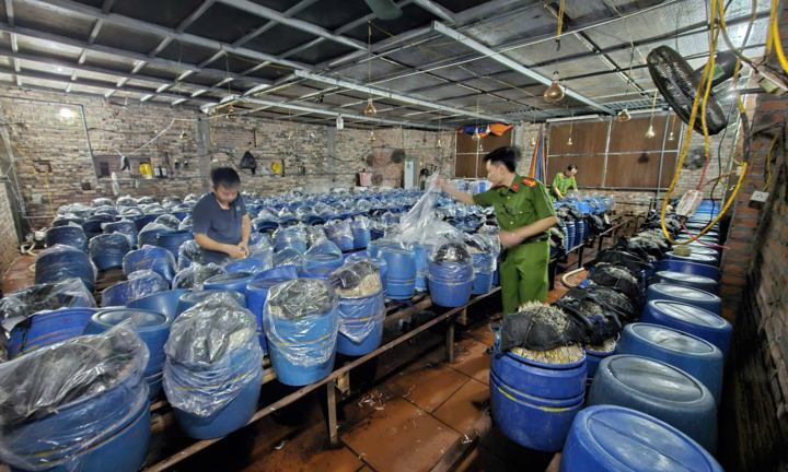 Khởi tố 3 chủ cơ sở dùng 
