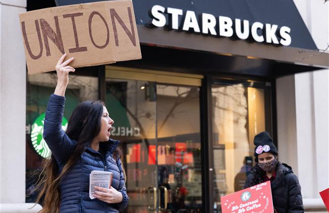 Nguồn cơn khiến Starbucks Hàn Quốc bị tẩy chay dữ dội, CEO mất chức trong ngày