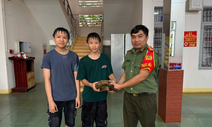 Tin tức thời sự 24h: Hai học sinh THCS giao nộp rùa quý hiếm cho công an