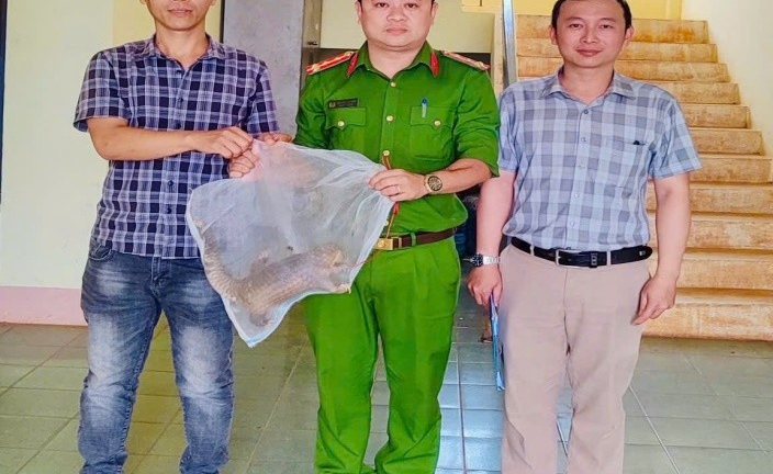 Tin tức thời sự 24h: Người dân phát hiện tê tê vàng quý hiếm khi đi làm rẫy