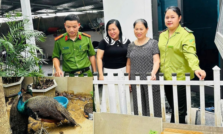 Nhặt được 2 con chim lạ, người phụ nữ mất ăn mất ngủ, chia sẻ suy nghĩ bất ngờ