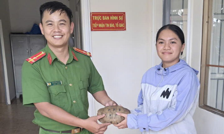 Bé gái ở Lâm Đồng bắt gặp rùa vàng quý hiếm khi đi làm vườn