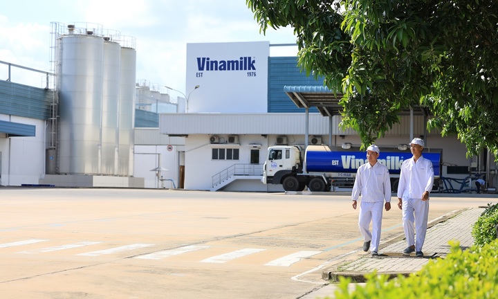 Vinamilk tiếp tục là đại diện duy nhất của ngành sữa Việt Nam trong Fortune 500 Đông Nam Á