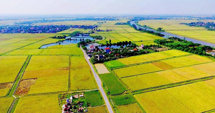 Cách xác định nhân khẩu được hỗ trợ khi thu hồi đất ruộng