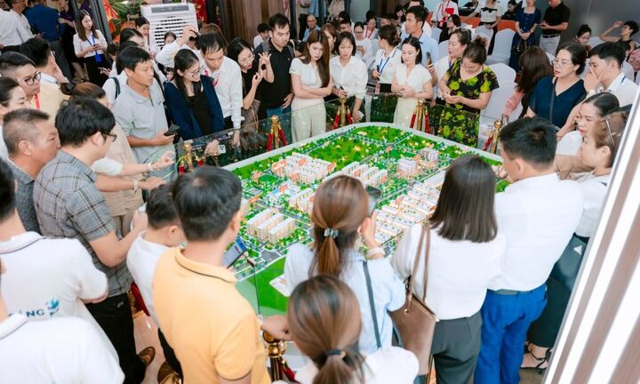 Lợi thế đưa Boutique Home Tràng Cát thành tọa độ đón đầu dòng người, giữ chân dòng tiền  