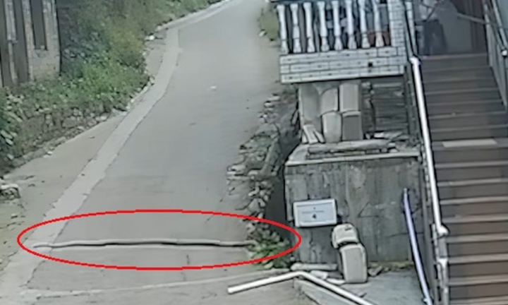 Rắn hổ mang chúa dài 3 mét lao ra giữa đường, đuổi theo xe máy khiến người đàn ông hoảng hốt bỏ chạy