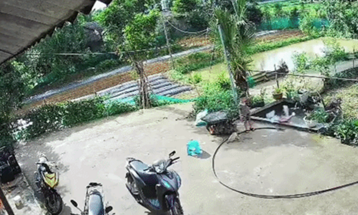 Thót tim cảnh bé gái 2 tuổi lọt xuống bể cá và phản xạ xuất thần của người anh 4 tuổi