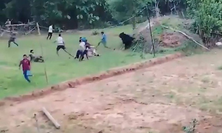 Clip: Hành động bất ngờ của con gấu sau khi được cứu khiến dân làng hoảng sợ, bỏ chạy