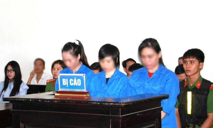 Xét xử vụ án mua bán 8 trẻ sơ sinh: 3 bị cáo bật khóc khi nói lời sau cùng