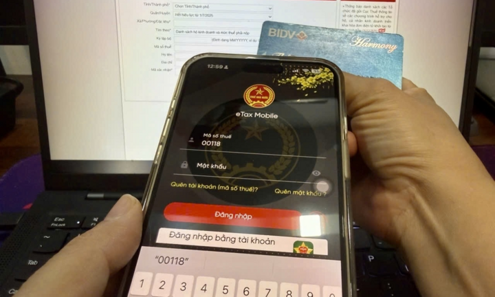 Cục Thuế đề nghị người dân chủ động rà soát thu nhập trên eTax Mobile