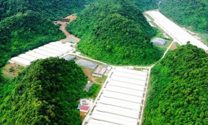 Vụ tai nạn tại trang trại lợn ở Thanh Hóa, 3 người tử vong: Danh tính các nạn nhân