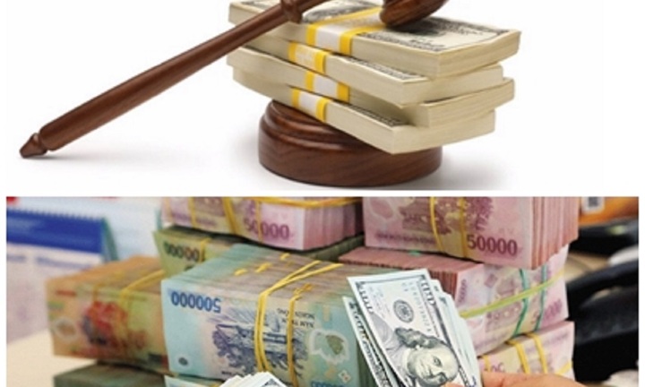 Lý do Công ty cổ phần Xuất nhập khẩu Bắc Giang bị xử phạt