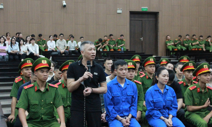 Pháp luật 24h: Tổ chức