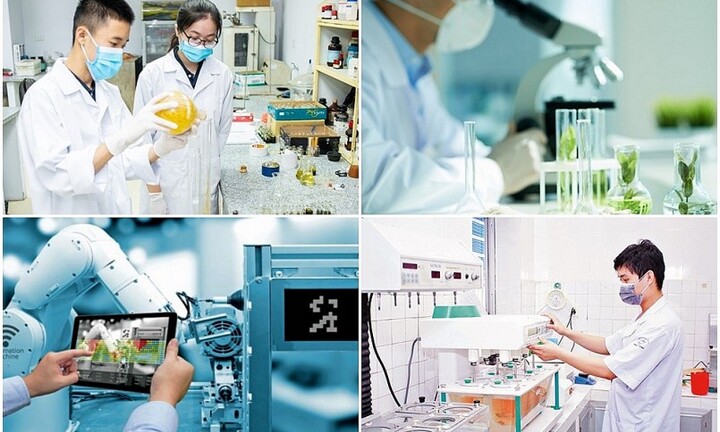 Danh sách Hội đồng xét tặng Giải thưởng Hồ Chí Minh, Giải thưởng Nhà nước về khoa học và công nghệ đợt 7