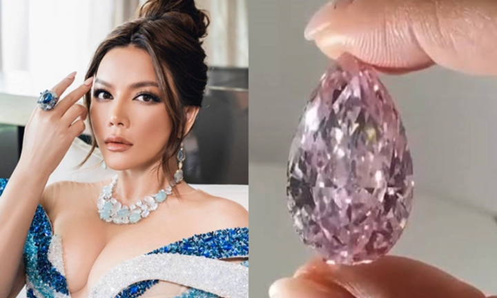 Xinh đẹp, rực rỡ ở tuổi 44, Lý Nhã Kỳ giàu cỡ nào?