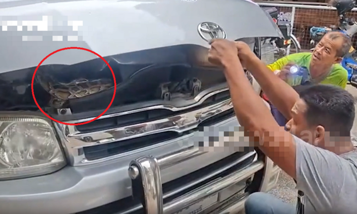 Mở nắp ca-pô sau chuyến đi hàng trăm km, tài xế chết lặng thấy 