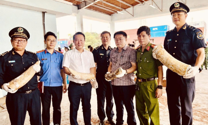 Phát hiện hơn 1,2 tấn ngà voi, xương động vật vận chuyển từ châu Phi về cảng Quy Nhơn