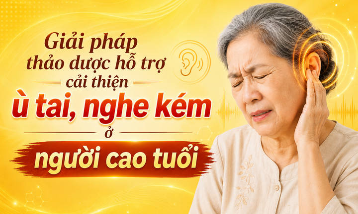 Giải pháp thảo dược hỗ trợ cải thiện ù tai, nghe kém ở người cao tuổi