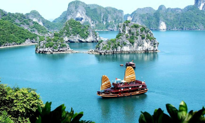 Mỗi địa điểm sẽ có mã định danh 12 chữ số, hiển thị trên VNeID