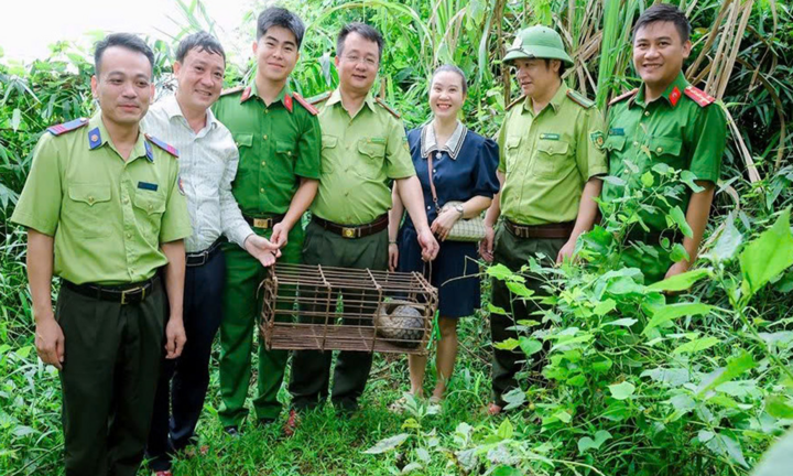 Phát hiện con vật 