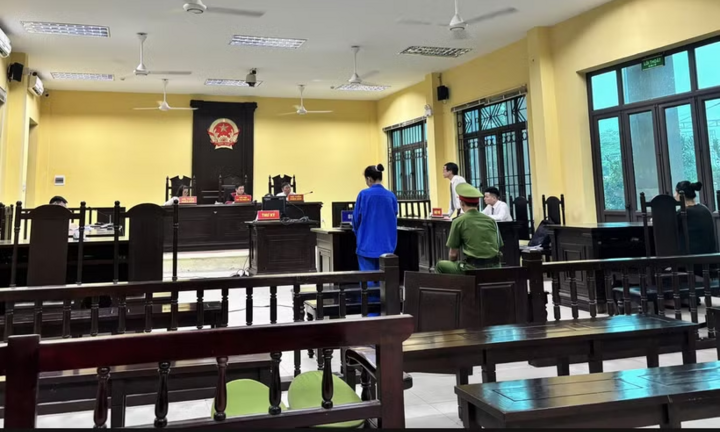 Vụ cụ bà 82 tuổi ở Hà Nội bị bạo hành: Lời khai của người con gái tại tòa