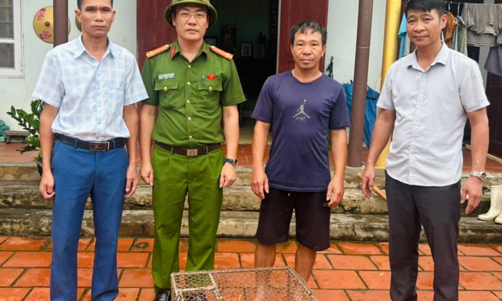 Người dân ở Thanh Hóa phát hiện tê tê Java quý hiếm tại nghĩa trang