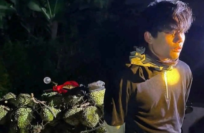 Bắt nam thanh niên từ Hải Phòng vào Đắk Lắk trộm hơn 1,6 tấn sầu riêng