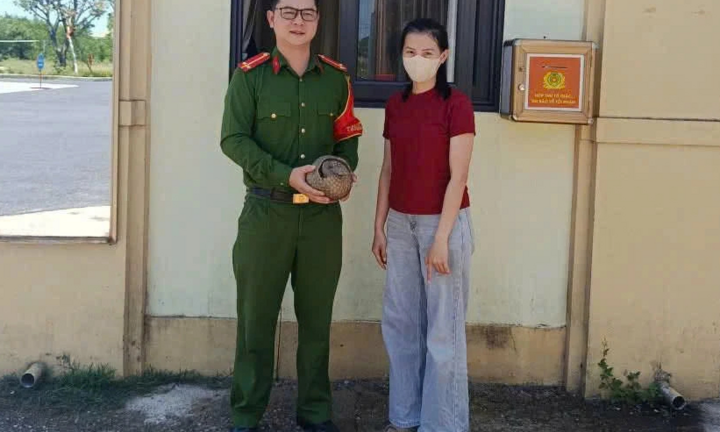 Phát hiện tê tê dài 50cm, nặng 1,5kg bò trên đường lúc nửa đêm, người phụ nữ mang đến công an giao nộp