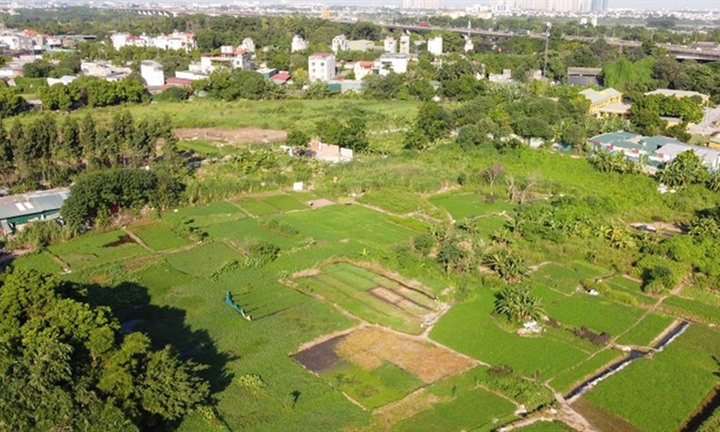 Xác định loại đất khi áp giá bồi thường ra sao?