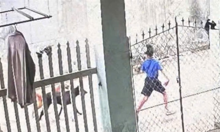 Bé trai 6 tuổi đi lạc trên núi cách nhà hơn 10km, chú chó ở bên bảo vệ suốt đêm