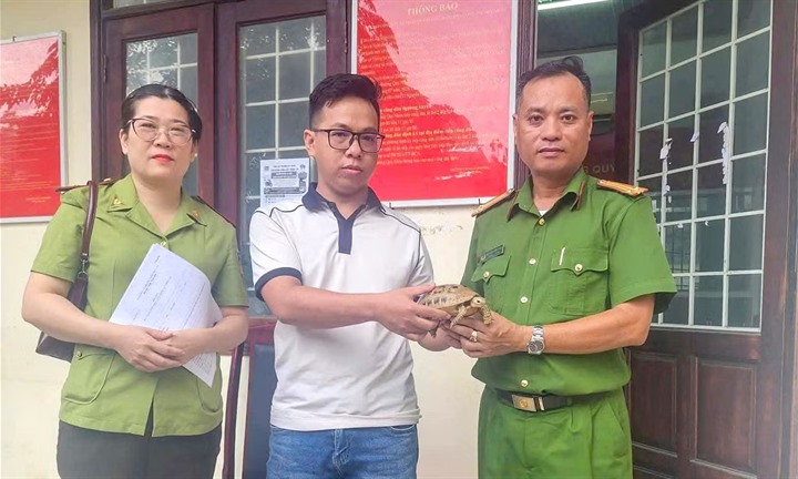 Phát hiện con vật quý hiếm, móng chân sắc nhọn bò vào nhà dân ở Gia Lai