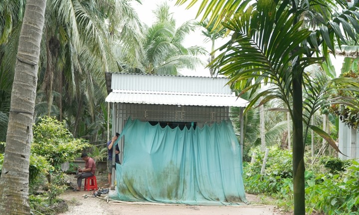 Vụ sát hại vợ ở Cần Thơ: Nghi phạm bị bắt khi trốn ở vườn dừa