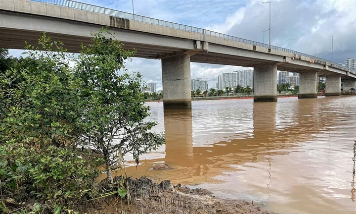 Phát hiện thi thể nam giới có hình xăm rồng trên lưng ở bờ kè tại TP.HCM